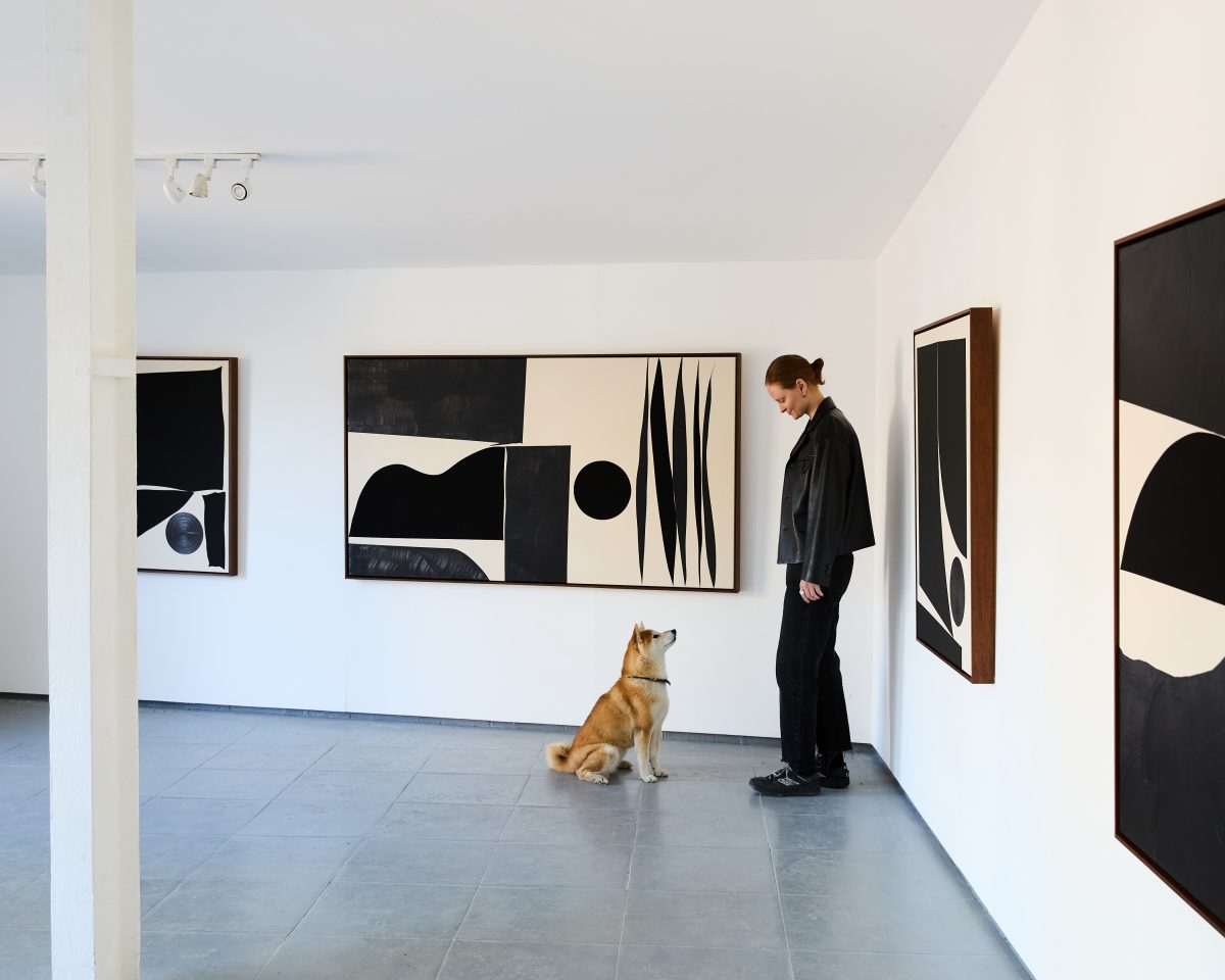 IMG_557